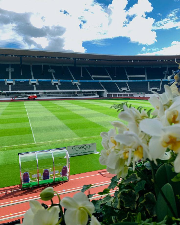 Olympiastadionin nurmi presidentinaitiosta nähtynäio