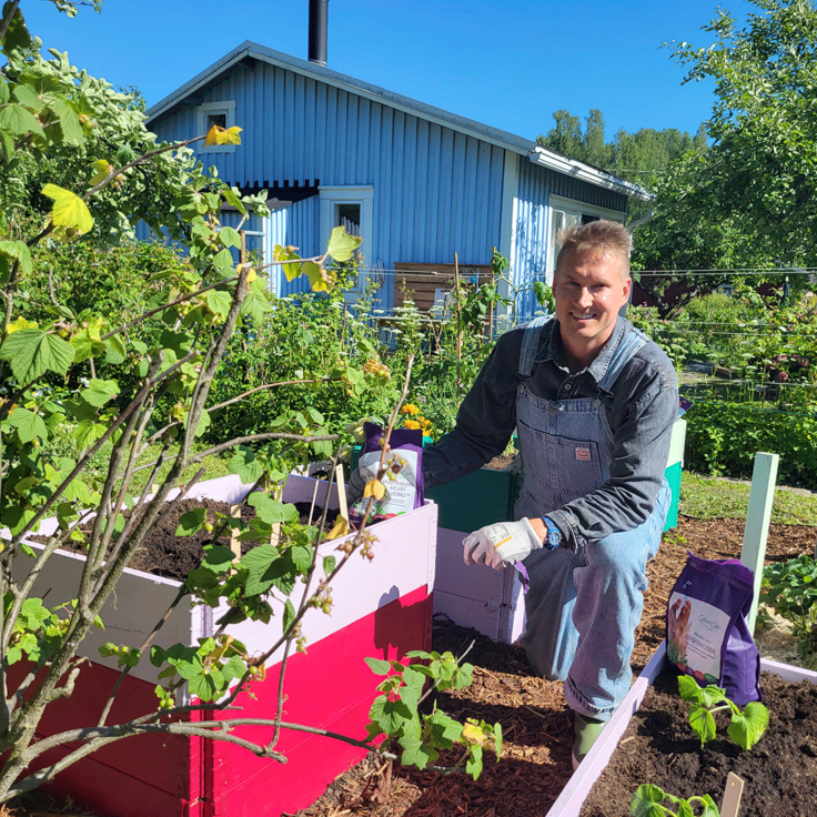 Jussi ja puutarhan lavakaulukset