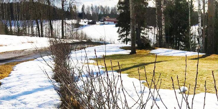 Nyt on oikea aika aloittaa puutarhan kevättyöt